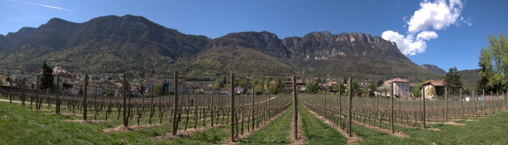 Trasa "Vinná cesta: z Trenta do Bolzana". 2011 04 07 14 15 40 Italy Trentino Alto Adige Caldaro sulla strada del vino Kaltern an der Weinstrasse 1024x293 1