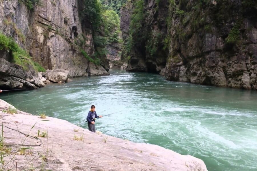 torrente noce
